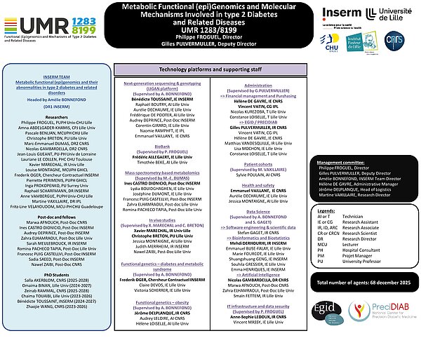 Organigramme de l'UMR8199-1283 dirigée par Amélie Bonnefond